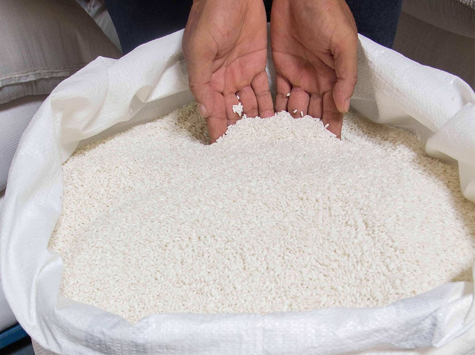 Vestergaard_ZeroFly_3